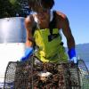 日本湖泊小龙虾泛滥 渔民踩碎当肥料
