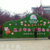 湖南桂阳三千亩樱花园受热捧 成为乡村旅游龙头