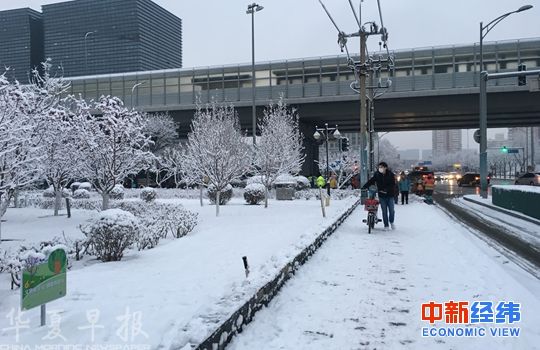 北京迎来2020年首场降雪。中新经纬 徐世明摄