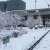 新年首轮雨雪“发货”北京：多条高速路段封闭
