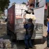 湖北孝感公安向辖区内新疆同胞捐赠4吨“爱心蔬菜”