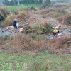 新化县开展疫情防控河道保洁整治工作